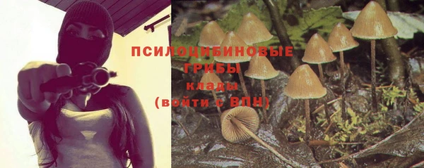 кокаин Белокуриха