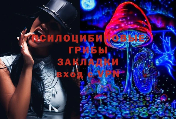 метадон Покачи